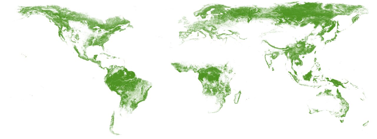 Forest and vegetation cover across the world map